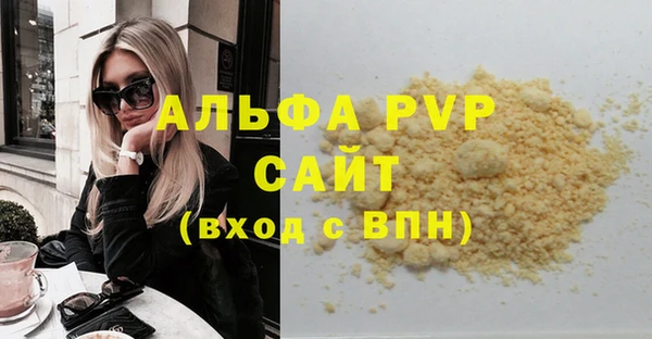 стаф Алзамай
