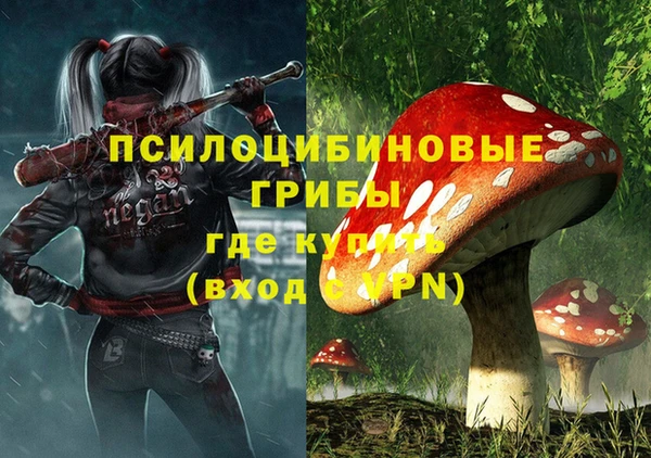 МДПВ Абдулино