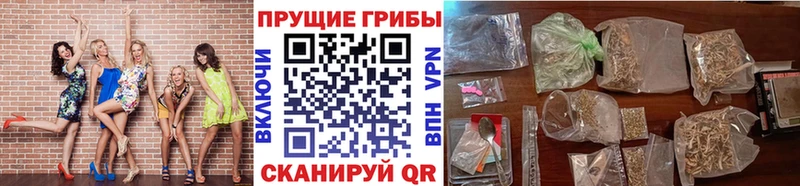 закладки Ипатово Галлюциногенные грибы мухоморы
